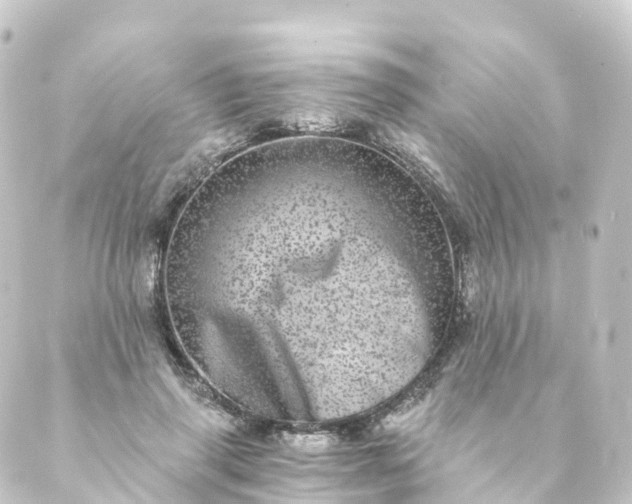 X0000088890645200706221841