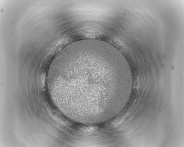 X0000088890646200706221841