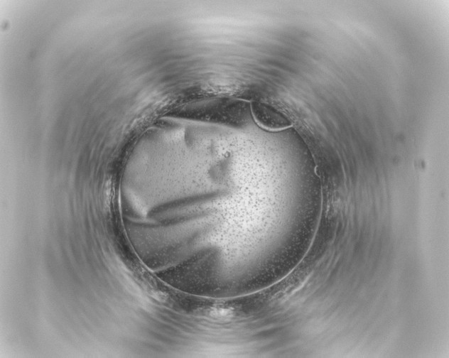 X0000088890647200706221841