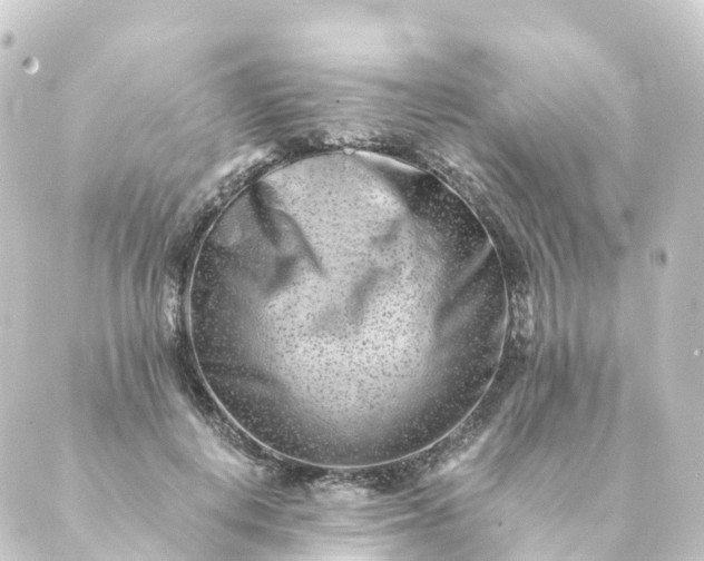 X0000088890648200706221841