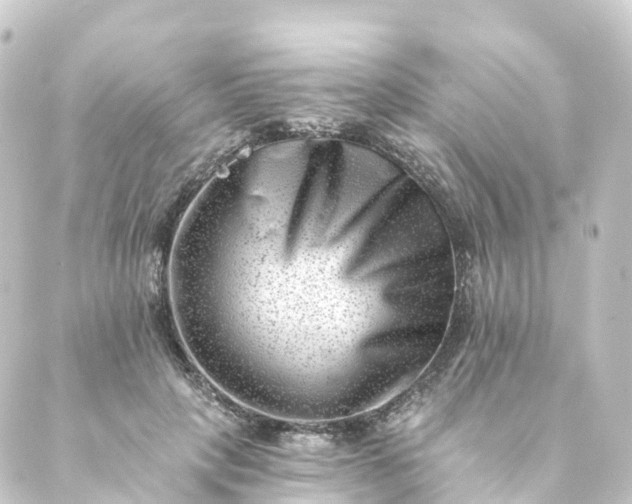 X0000088890649200706221841