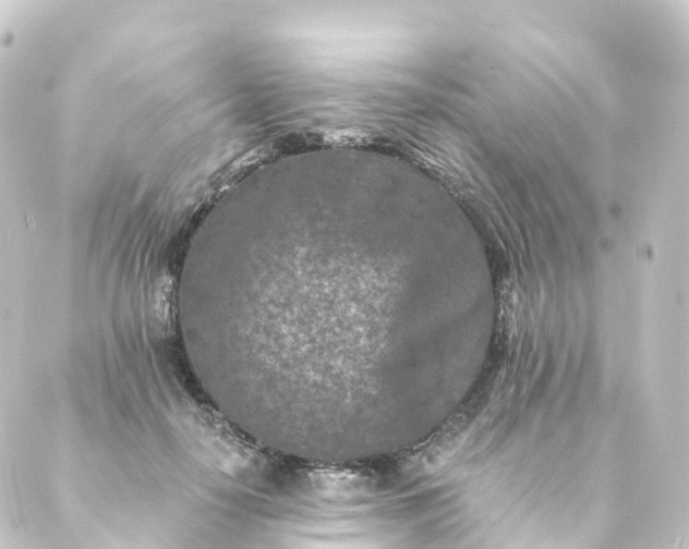 X0000088890650200706221841