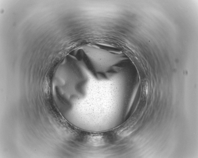 X0000088890651200706221841