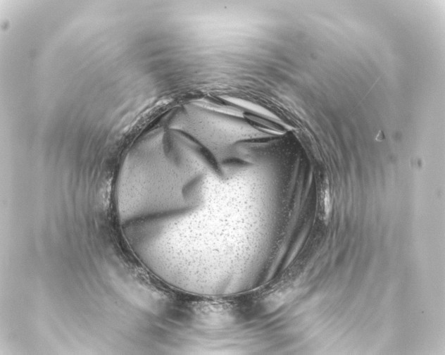 X0000088890652200706221841