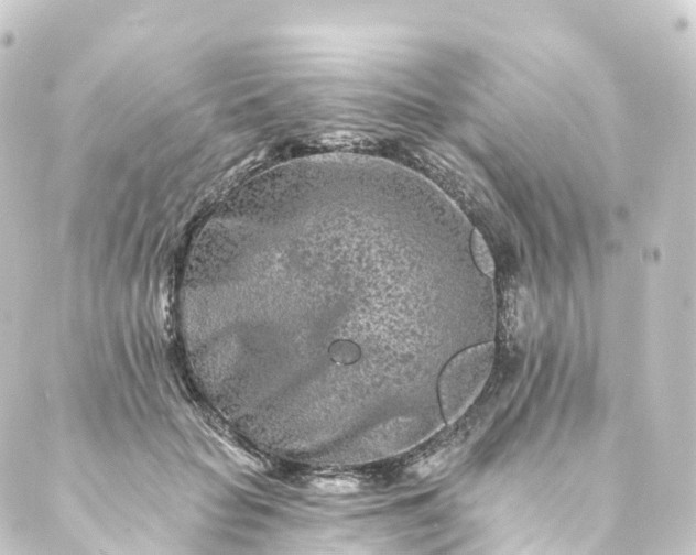 X0000088890653200706221841