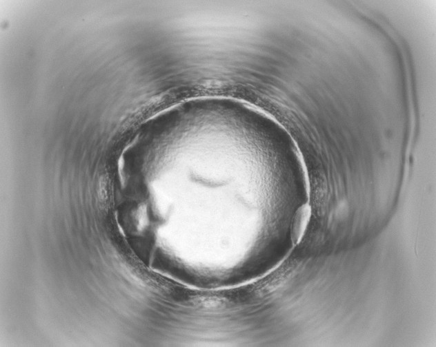 X0000088890654200706221841