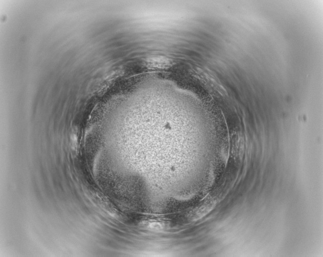 X0000088890655200706221841