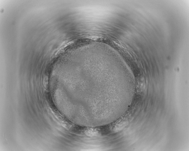 X0000088890656200706221841