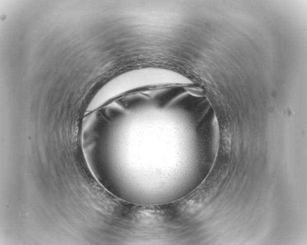 X0000088890657200706221841