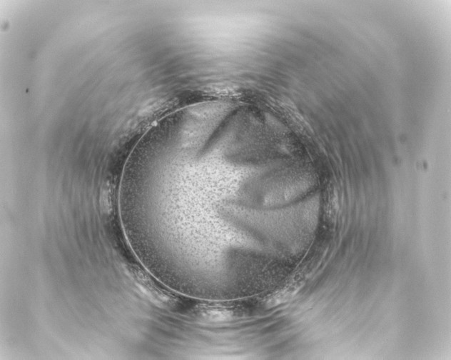 X0000088890658200706221841