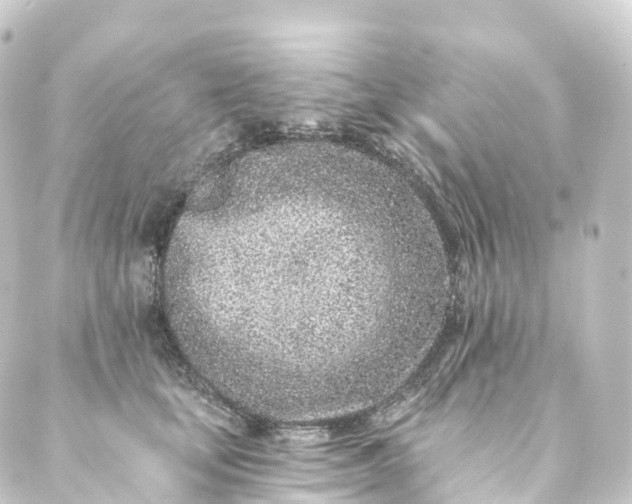 X0000088890659200706221841