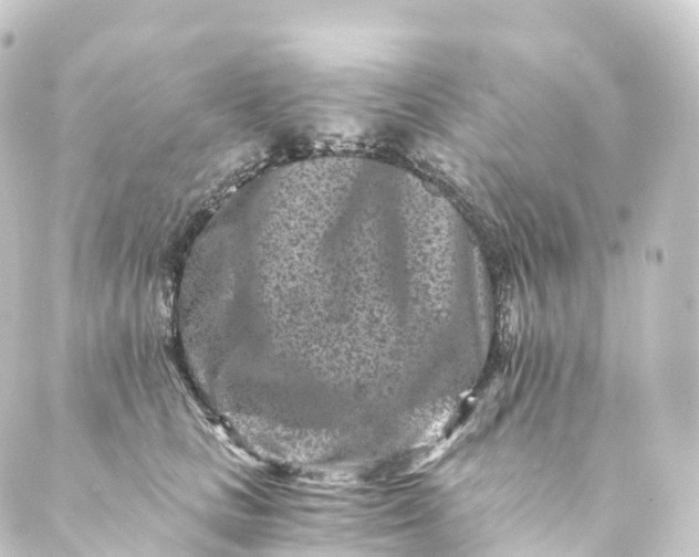 X0000088890661200706221841