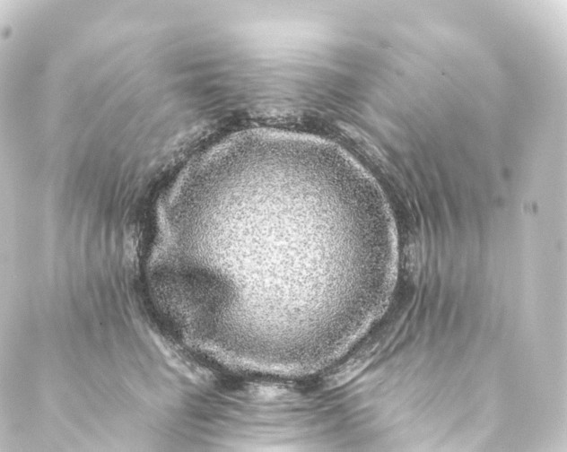 X0000088890662200706221841