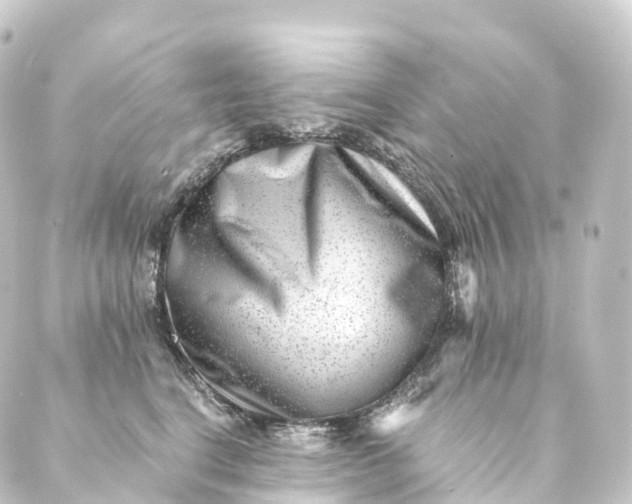 X0000088890664200706221841