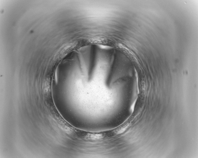 X0000088890665200706221841