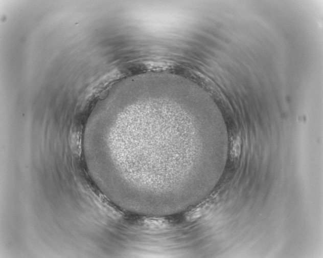 X0000088890666200706221841