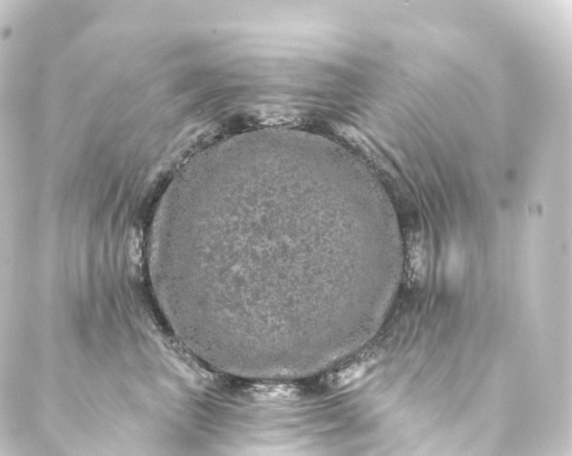 X0000088890667200706221841