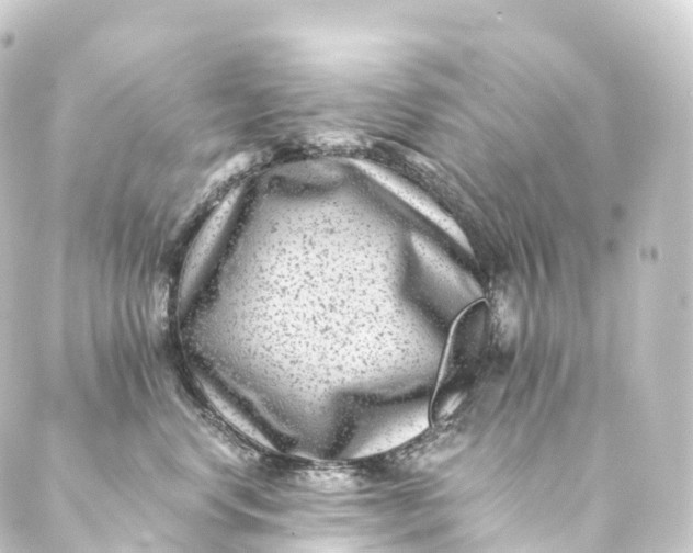 X0000088890668200706221841