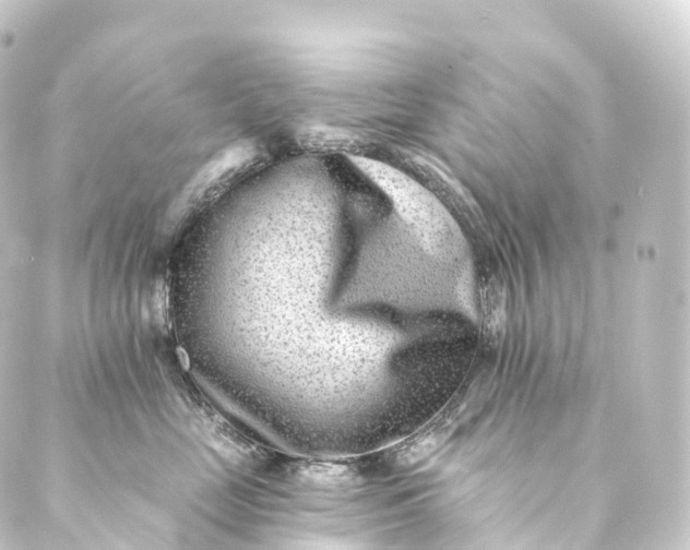 X0000088890669200706221841