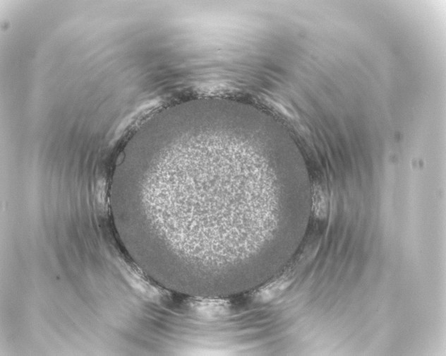 X0000088890670200706221841