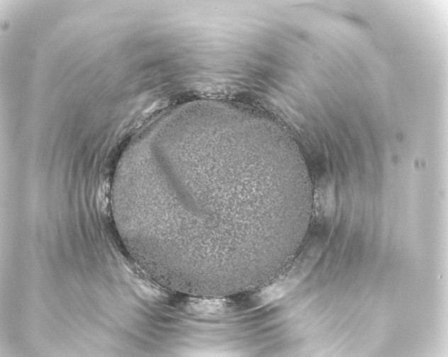 X0000088890671200706221841