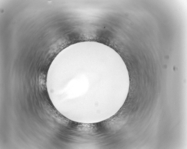 X0000088890672200706221841