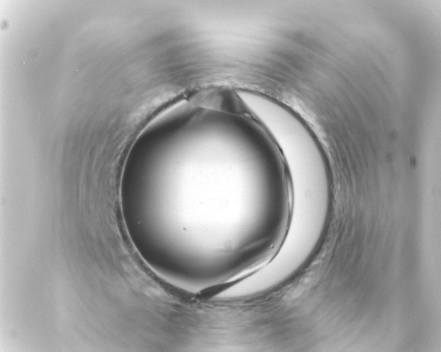 X0000088890673200706221840