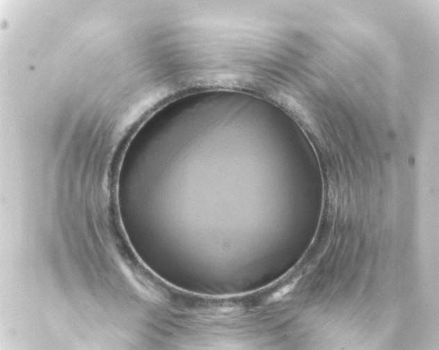 X0000088890674200706221840