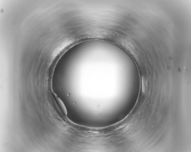 X0000088890675200706221840