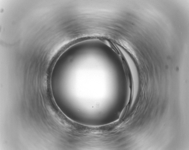 X0000088890676200706221840