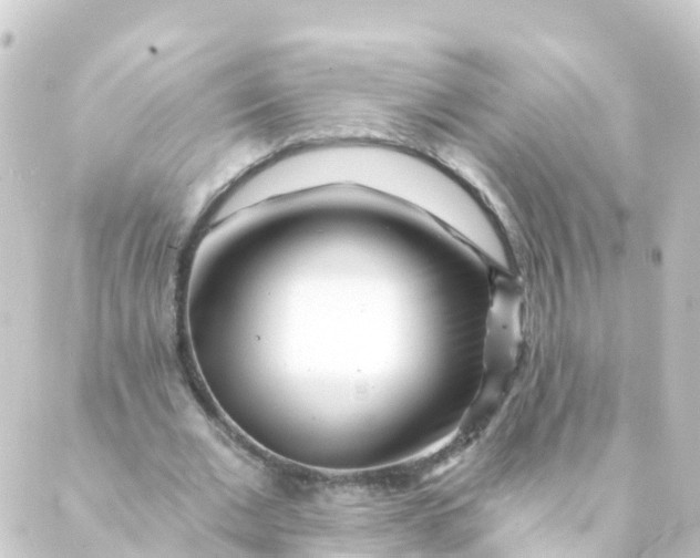 X0000088890677200706221840