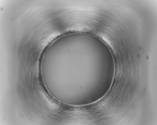 X0000088890678200706221840