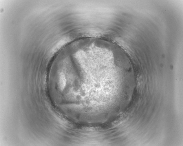 X0000088890679200706221840