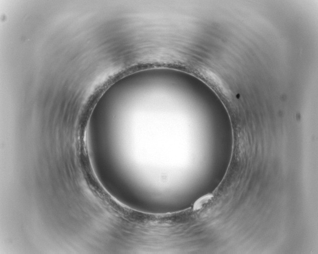 X0000088890680200706221840