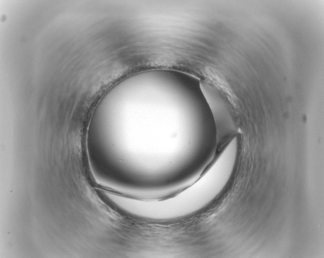 X0000088890681200706221840