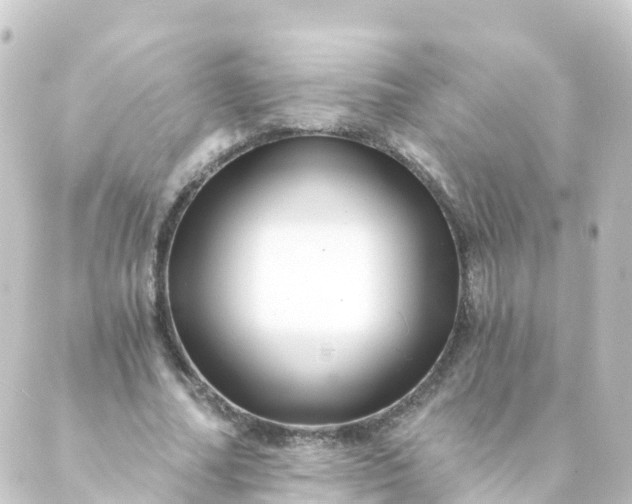 X0000088890682200706221840