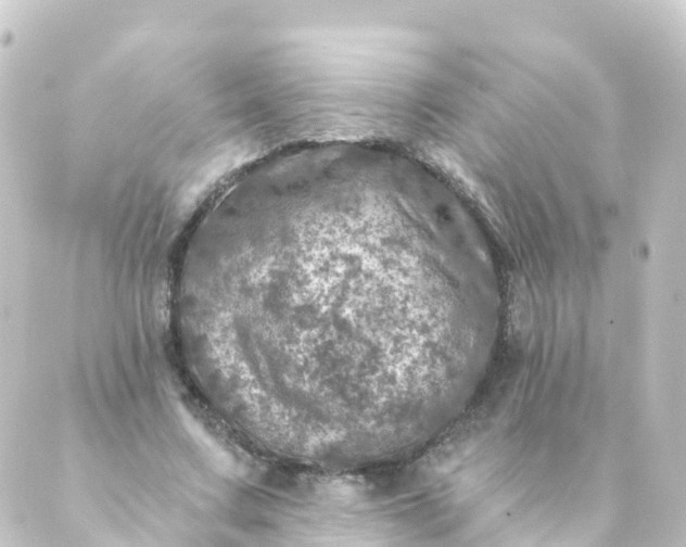 X0000088890683200706221840