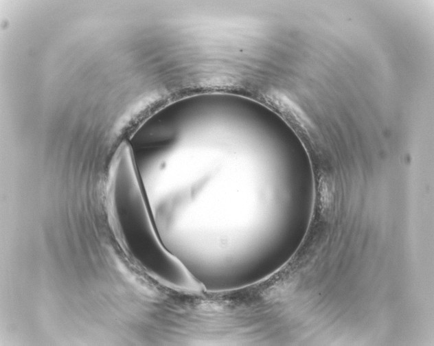 X0000088890684200706221840