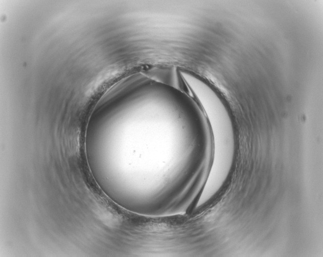 X0000088890685200706221840