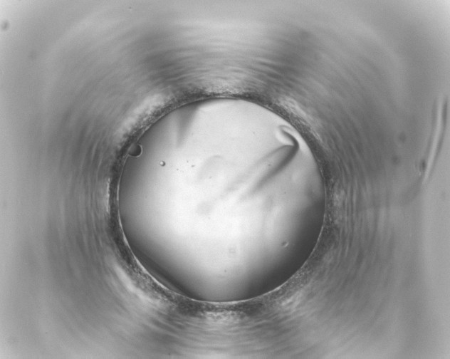 X0000088890686200706221840