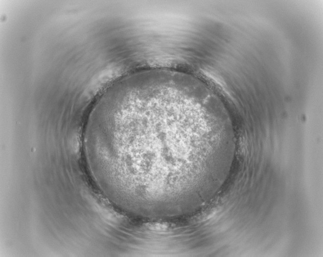 X0000088890687200706221840