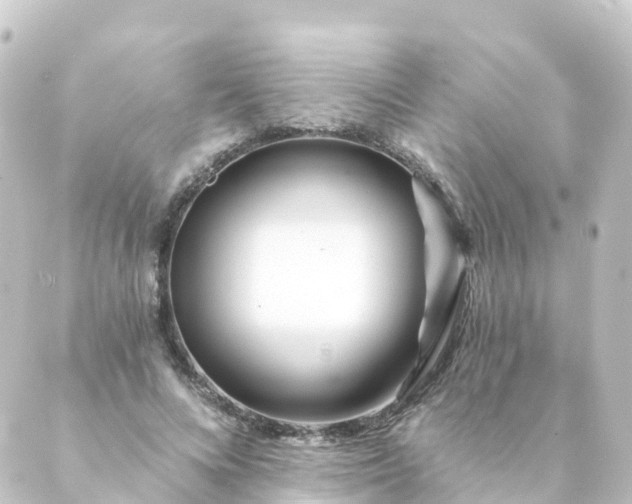 X0000088890688200706221840