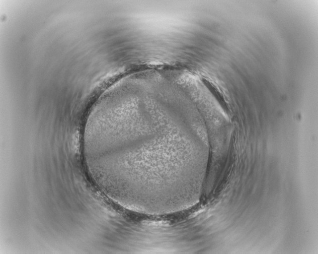 X0000088890689200706221840