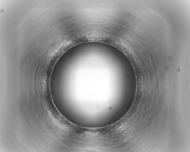 X0000088890690200706221840