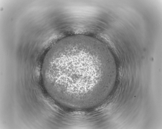 X0000088890691200706221840