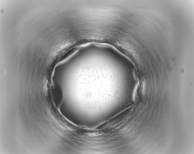 X0000088890692200706221840