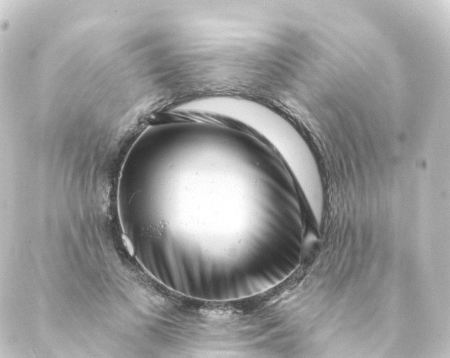 X0000088890693200706221840