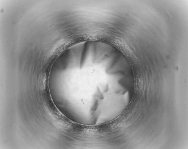 X0000088890694200706221840