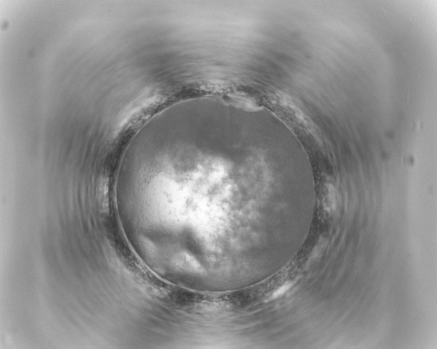 X0000088890696200706221840