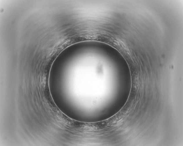 X0000088890697200706221840